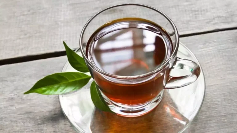 इन लोगों को नहीं पीनी चाहिए Green Tea, फायदे की जगह सेहत को हो जाता है नुकसान
