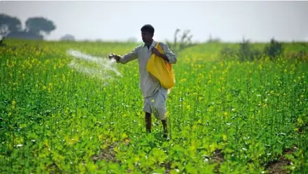 खरीफ फसलों के लिए कुल बुवाई क्षेत्र 89 लाख हेक्टेयर के पार