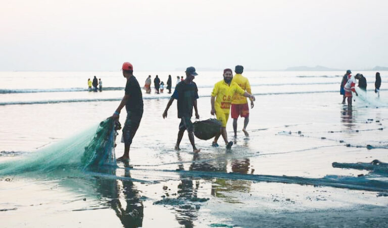 सागर- 15 अगस्त तक मछली पकड़ने पर प्रतिबंध