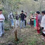 सिरमौर के किसान चौपाल क्षेत्र में बेच रहे ऑर्गेनिक उत्पाद