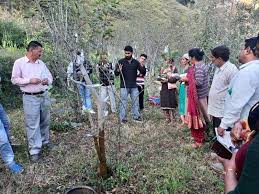 सिरमौर के किसान चौपाल क्षेत्र में बेच रहे ऑर्गेनिक उत्पाद